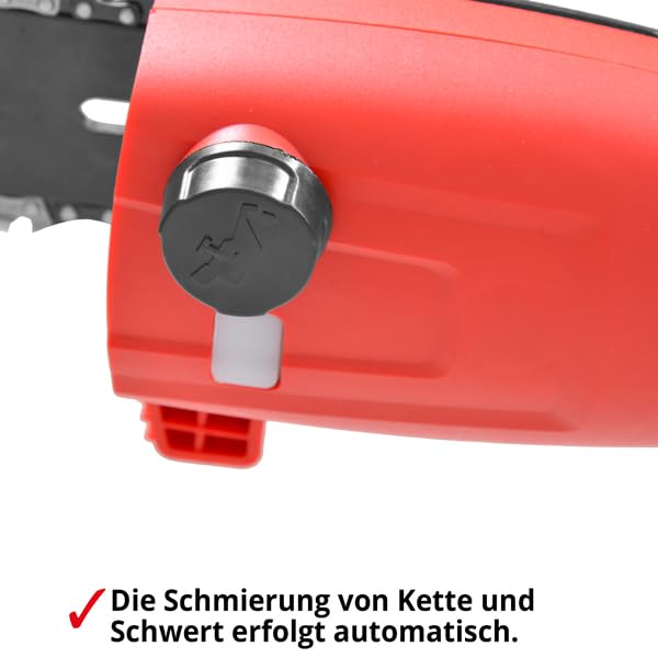 HECHT Elektro-Hochentaster 971 W Ast-Kettensäge Profi-Astsäge Teleskop Motorsäge inkl. Tragegurt (750 Watt, Schwertlänge: 24 cm, Arbeitshöhe: bis ca 4 m)