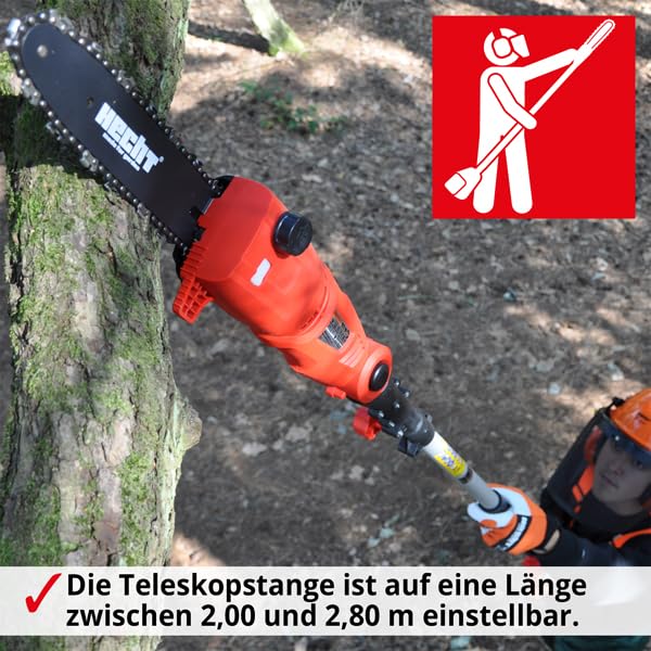 HECHT Elektro-Hochentaster 971 W Ast-Kettensäge Profi-Astsäge Teleskop Motorsäge inkl. Tragegurt (750 Watt, Schwertlänge: 24 cm, Arbeitshöhe: bis ca 4 m)